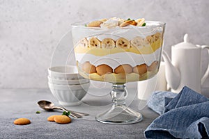 Banana pudding trifle in a large digh photo