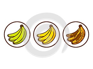 Banana ripeness illustration