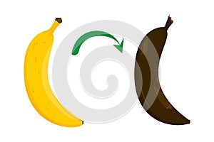 Banana ripeness stages vector isolated. Ripe to rotten