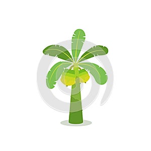 Banana tree with fruit flat