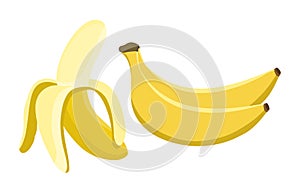 Banana vector.Fresh banana illustration photo