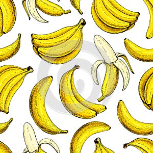 Banana vector seamless pattern. Isolated hand drawn bunch and peel banana Summer fruit artistic style