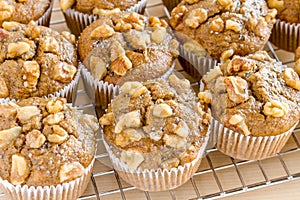 Banana Walnut and Chia Seed Muffins