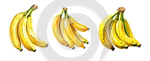 Banana, watercolor painting style illustration