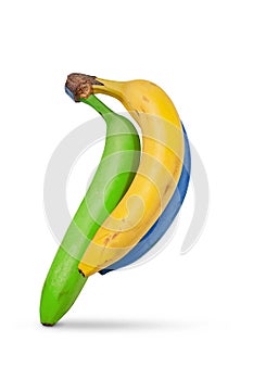 Banana on white background. Three ripe bananas. Bunch of yellow bananas isolated on a white surface. Exotic, tropical fruits.