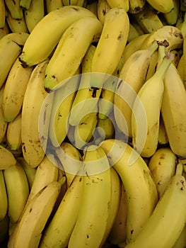 Banana or yellow plantain photo