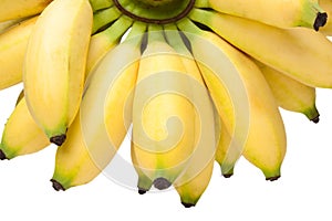 Bananas