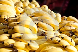 Bananas