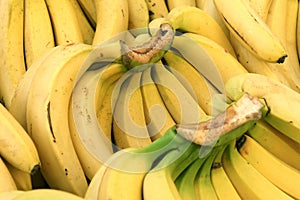 Bananas