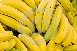 Bananas