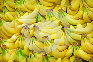 Bananas