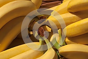 Bananas