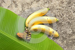 Bananas with banana leaf