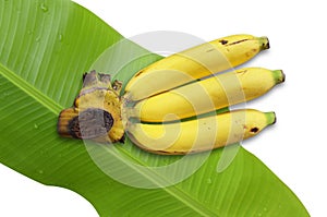 Bananas with banana leaf