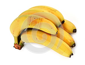 Bananas with bar code