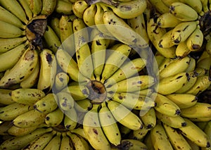 Bananas at the creole market