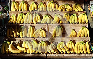 Bananas on a display shelf in a fruit and vegetable store