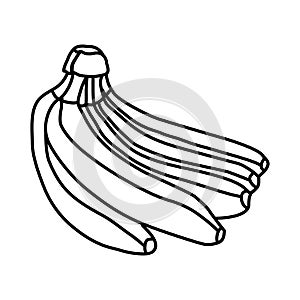 Bananas Fruit Icon. Vector Design Illustration Sign