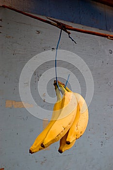 Bananas, Fruit Stand, Oahu