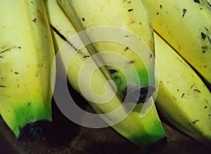 Bananas fruits on the table