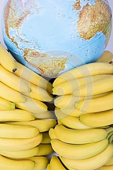 Bananas with globe