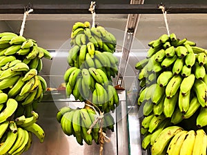 Bananas hanging in a supermarket in Bora Bora