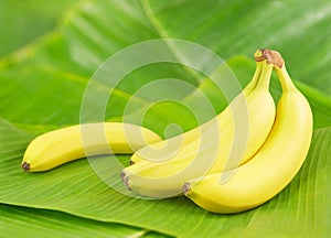 Bananas on leaves