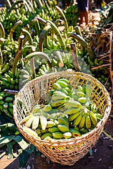 Bananas market