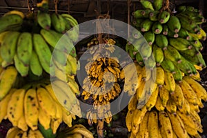 Bananas on the market