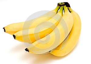 Bananas new 1