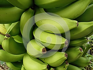 Bananas are one of the nutritious and nutritious healthy foods, especially for athletes