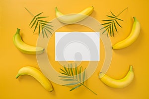 Bananas, palm leaves and blank paper sheet