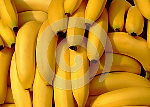 Bananas pile photo