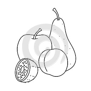 Bananas and pomegranates. Harvest fruits. Vector black and white drawing. Children's coloring, objects for drawing