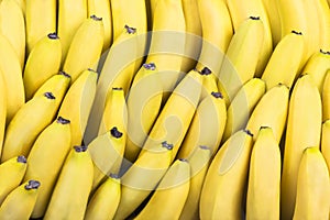 Bananas in rows