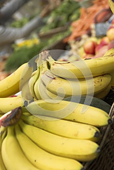 Bananas for sale