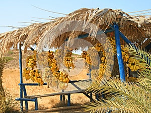 Bananas for sale