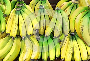 Bananas for sale on farmers market