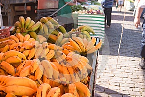 Bananas for sale at the market