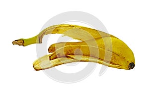 Bananas Skin isolated on white background. Banana peel photo
