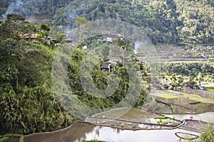 Banaue mountain rice terraces luzon philippines