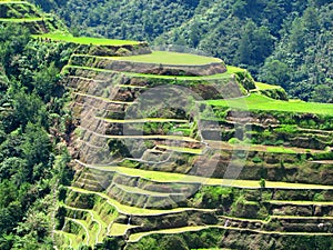 Banaue Rice Terraces 2 photo