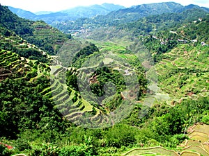 Banaue Rice Terraces