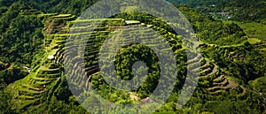 Banaue rice terraces