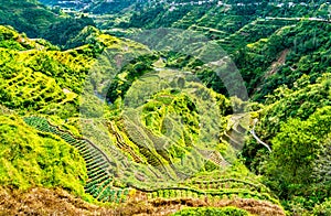 Banaue Rice Terraces - northern Luzon, UNESCO world heritage in Philippines.