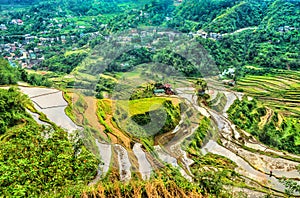 Banaue Rice Terraces - northern Luzon, UNESCO world heritage in Philippines.