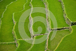 Banaue Rice Terraces , Philippines