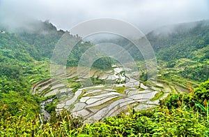 Banaue Rice Terraces in the rain. UNESCO world heritage in the Philippines