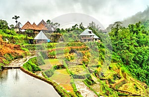 Banaue village on Luzon island, Philippines