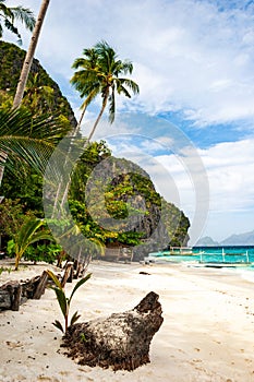 Banca boats on the pristine beach of Entalula island in El nido region of Palawan in the Philippines. Vertical view